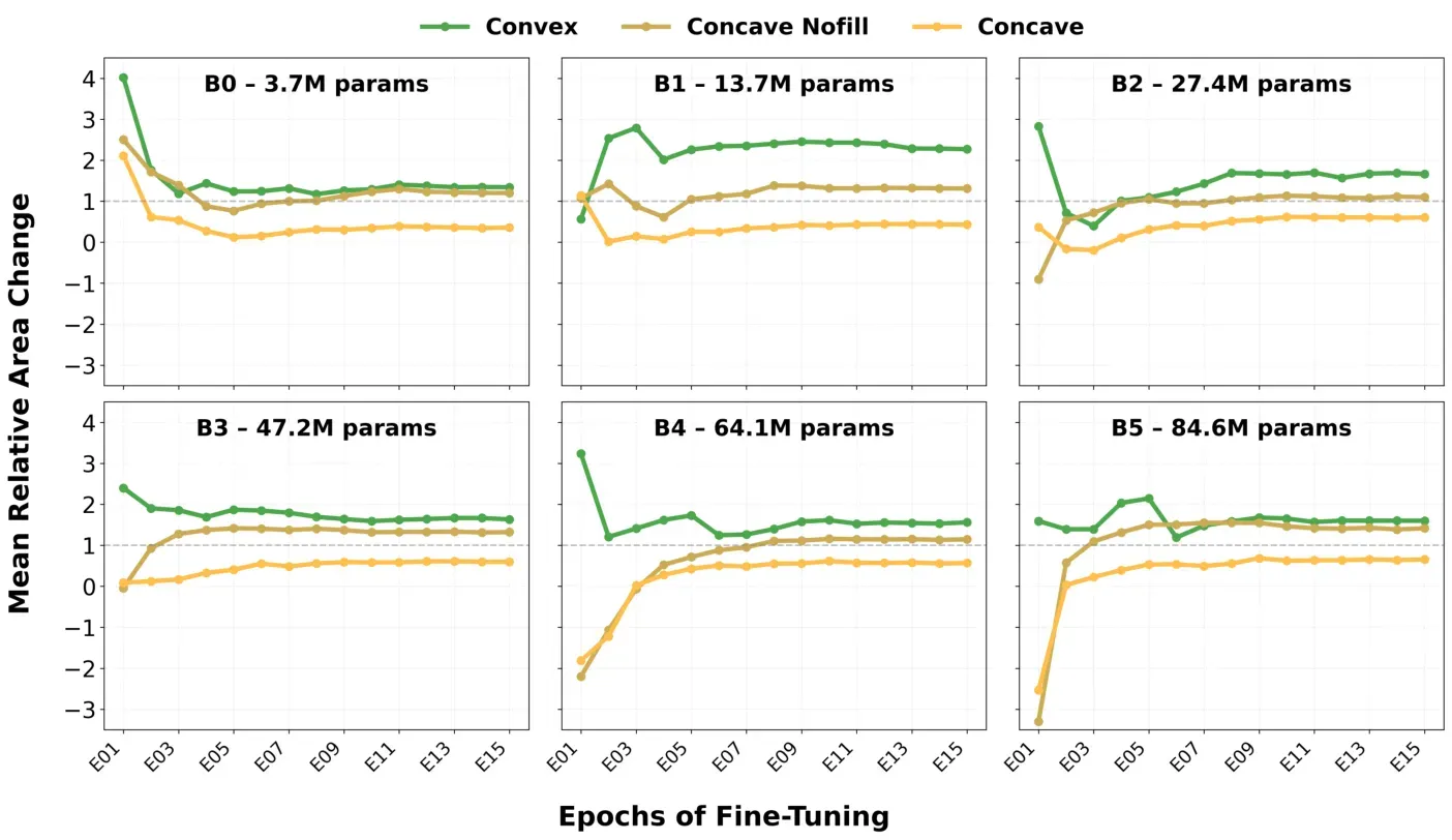 Mean segmentation response-alignment coefficient during fine-tuning by model category.