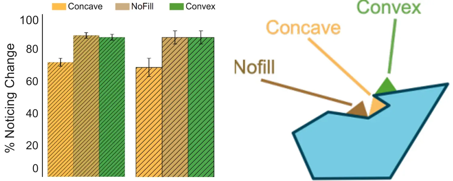 Change-detection experiment and local object modifications at concave and convex body parts.