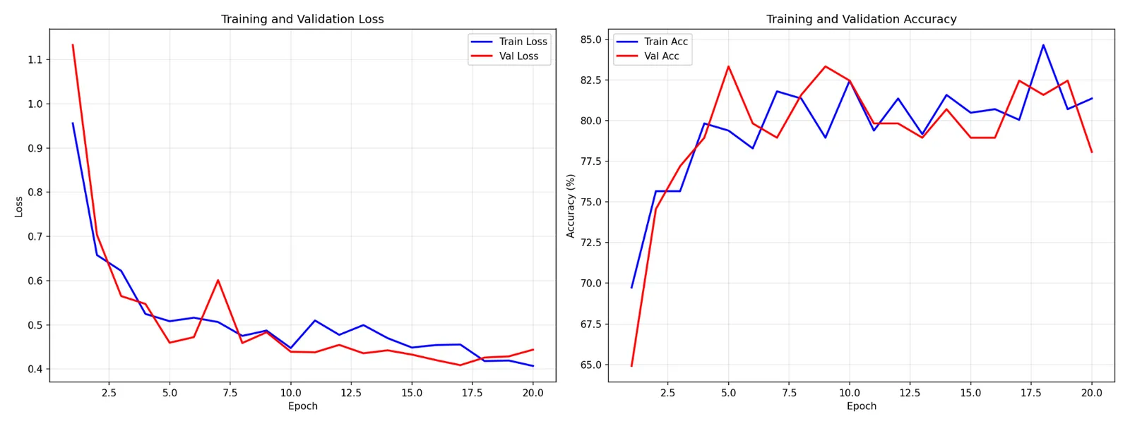 Training and validation loss and accuracy curves of the CNN across twenty Adam epochs.